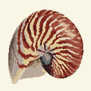 Nautilus Needlepoint Kit Kits Elizabeth Bradley Design Winter White 
