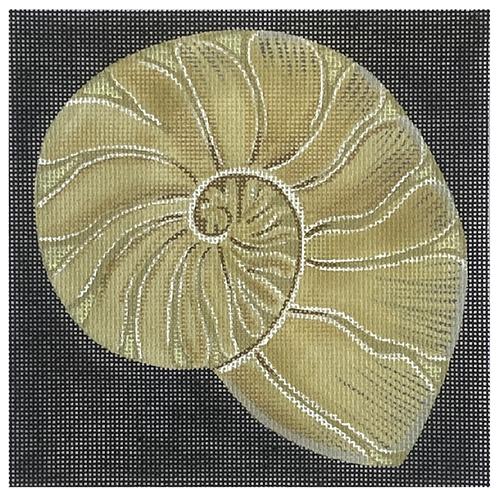 Nautilus Shell on Black Painted Canvas & More 
