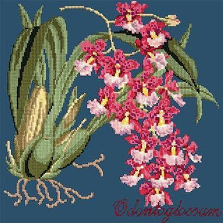 Odontoglossum Needlepoint Kit Kits Elizabeth Bradley Design Dark Blue 
