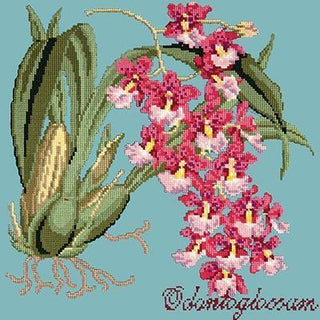 Odontoglossum Needlepoint Kit Kits Elizabeth Bradley Design Duck Egg Blue 
