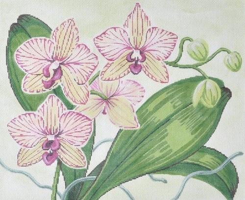 Orchids on 18 Painted Canvas Labors of Love Needlepoint 