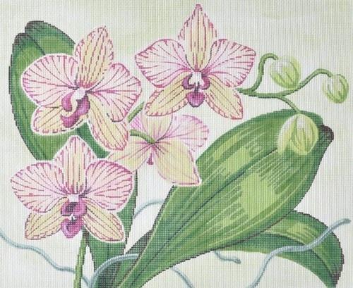 Orchids on 18 Painted Canvas Labors of Love Needlepoint  - 1