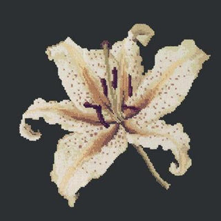 Oriental Lily Needlepoint Kit Kits Elizabeth Bradley Design Black 
