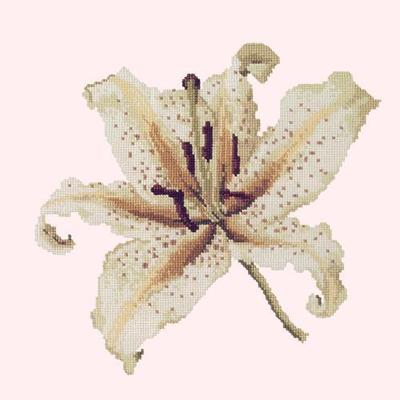 Oriental Lily Needlepoint Kit Kits Elizabeth Bradley Design Cream 
