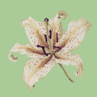 Oriental Lily Needlepoint Kit Kits Elizabeth Bradley Design Pale Green 

