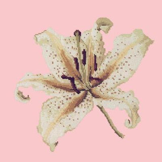 Oriental Lily Needlepoint Kit Kits Elizabeth Bradley Design Pale Rose 
