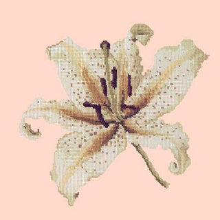 Oriental Lily Needlepoint Kit Kits Elizabeth Bradley Design Salmon Pink 
