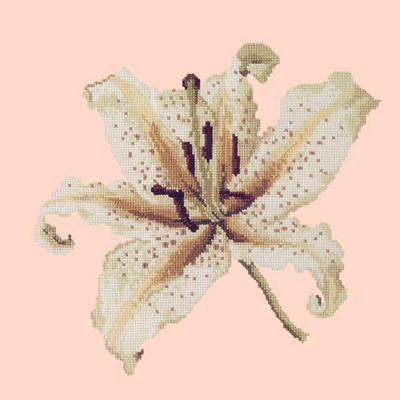 Oriental Lily Needlepoint Kit Kits Elizabeth Bradley Design Salmon Pink 
