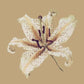 Oriental Lily Needlepoint Kit Kits Elizabeth Bradley Design Sand 