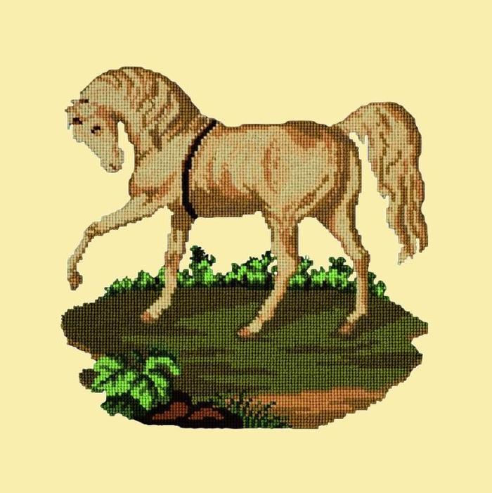 Palomino Horse Needlepoint Kit Kits Elizabeth Bradley Design Butter Yellow 
