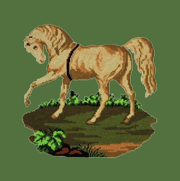 Palomino Horse Needlepoint Kit Kits Elizabeth Bradley Design Dark Green 
