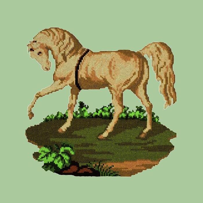 Palomino Horse Needlepoint Kit Kits Elizabeth Bradley Design Pale Green 
