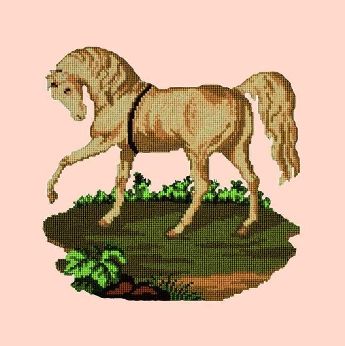 Palomino Horse Needlepoint Kit Kits Elizabeth Bradley Design Salmon Pink 

