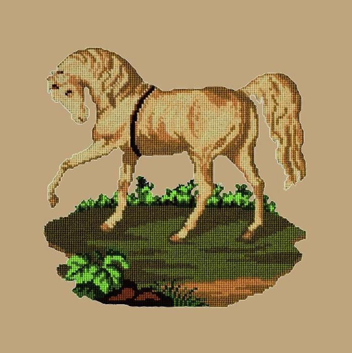 Palomino Horse Needlepoint Kit Kits Elizabeth Bradley Design Sand 
