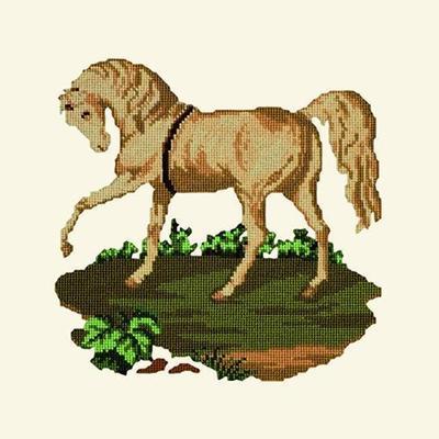 Palomino Horse Needlepoint Kit Kits Elizabeth Bradley Design Winter White 
