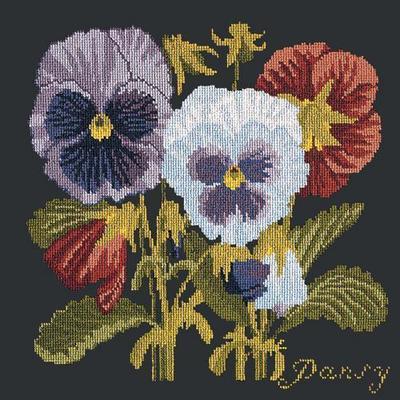 Pansy Needlepoint Kit Kits Elizabeth Bradley Design Black 
