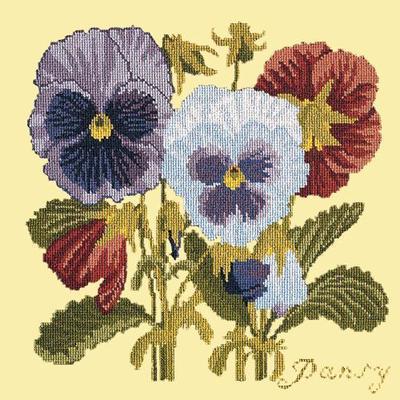Pansy Needlepoint Kit Kits Elizabeth Bradley Design Butter Yellow 
