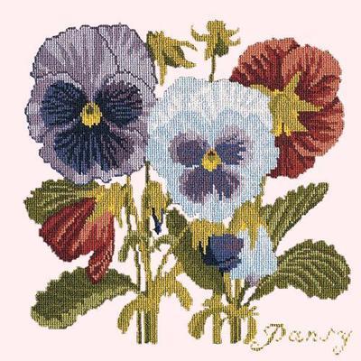 Pansy Needlepoint Kit Kits Elizabeth Bradley Design Cream 
