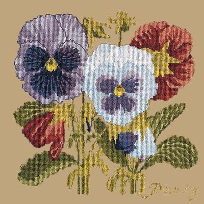 Pansy Needlepoint Kit Kits Elizabeth Bradley Design Sand 

