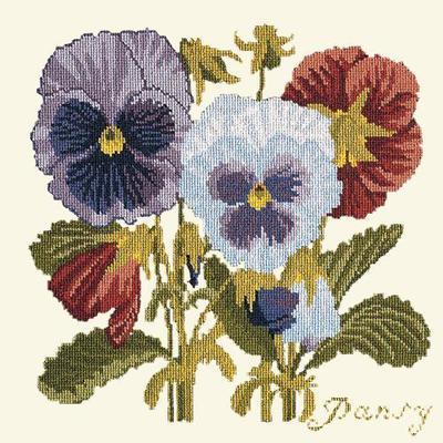 Pansy Needlepoint Kit Kits Elizabeth Bradley Design Winter White 