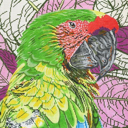 Parrot Buffon / Great Green Macaw Painted Canvas The Meredith Collection 