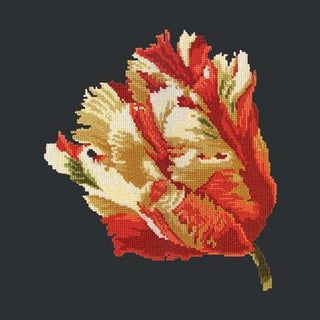 Parrot Tulip Needlepoint Kit Kits Elizabeth Bradley Design Black 
