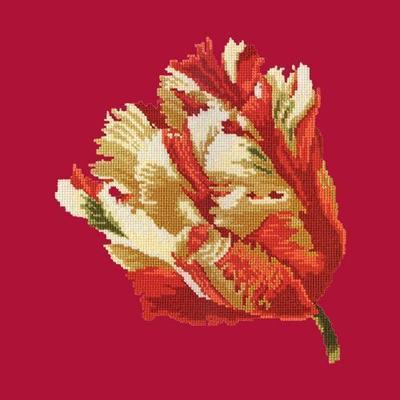 Parrot Tulip Needlepoint Kit Kits Elizabeth Bradley Design Bright Red 
