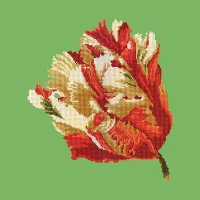 Parrot Tulip Needlepoint Kit Kits Elizabeth Bradley Design Grass Green 
