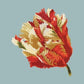 Parrot Tulip Needlepoint Kit Kits Elizabeth Bradley Design Pale Blue 