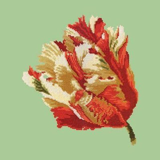 Parrot Tulip Needlepoint Kit Kits Elizabeth Bradley Design Pale Green 
