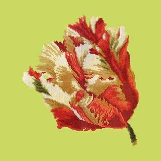 Parrot Tulip Needlepoint Kit Kits Elizabeth Bradley Design Pale Lime 
