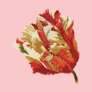 Parrot Tulip Needlepoint Kit Kits Elizabeth Bradley Design Pale Rose 
