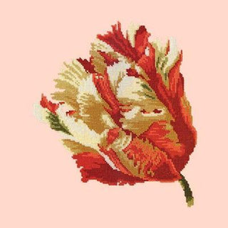 Parrot Tulip Needlepoint Kit Kits Elizabeth Bradley Design Salmon Pink 
