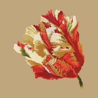 Parrot Tulip Needlepoint Kit Kits Elizabeth Bradley Design Sand 
