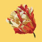 Parrot Tulip Needlepoint Kit Kits Elizabeth Bradley Design Sunflower Yellow 