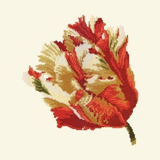 Parrot Tulip Needlepoint Kit Kits Elizabeth Bradley Design Winter White 
