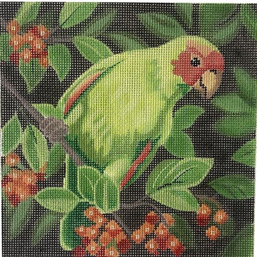 Parrot with Berries Painted Canvas Labors of Love Needlepoint 