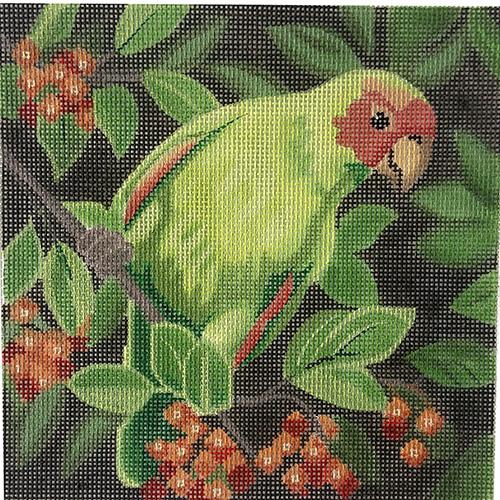 Parrot with Berries Painted Canvas Labors of Love Needlepoint  - 1