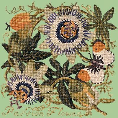 Passion Flower Needlepoint Kit Kits Elizabeth Bradley Design Pale Green 
