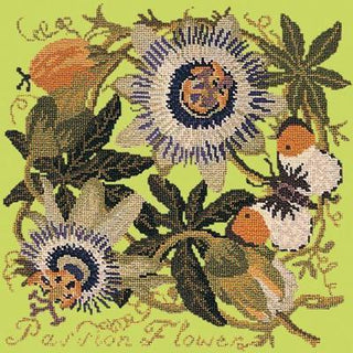 Passion Flower Needlepoint Kit Kits Elizabeth Bradley Design Pale Lime 
