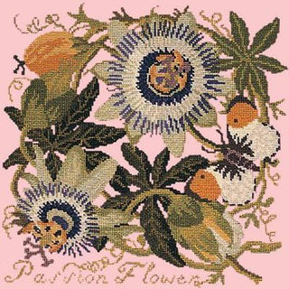 Passion Flower Needlepoint Kit Kits Elizabeth Bradley Design Pale Rose 
