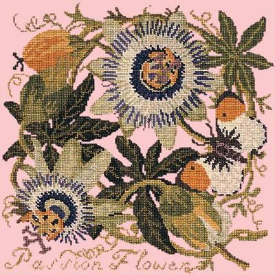 Passion Flower Needlepoint Kit Kits Elizabeth Bradley Design Pale Rose 
