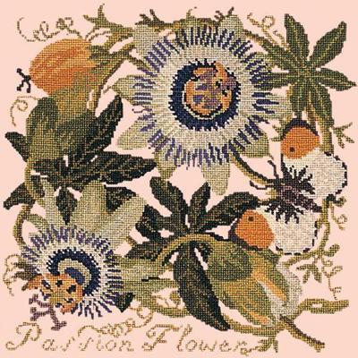Passion Flower Needlepoint Kit Kits Elizabeth Bradley Design Salmon Pink 
