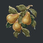Pears Needlepoint Kit Kits Elizabeth Bradley Design Black 