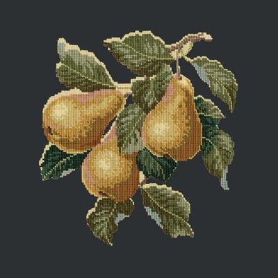 Pears Needlepoint Kit Kits Elizabeth Bradley Design Black 

