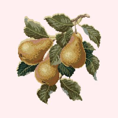 Pears Needlepoint Kit Kits Elizabeth Bradley Design Cream 
