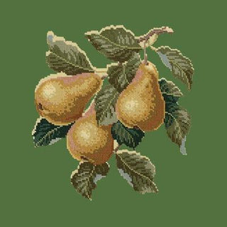 Pears Needlepoint Kit Kits Elizabeth Bradley Design Dark Green 
