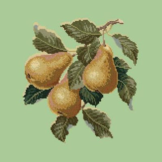 Pears Needlepoint Kit Kits Elizabeth Bradley Design Pale Green 
