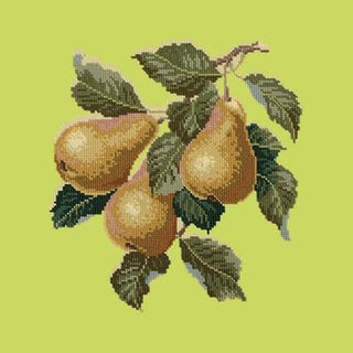 Pears Needlepoint Kit Kits Elizabeth Bradley Design Pale Lime 
