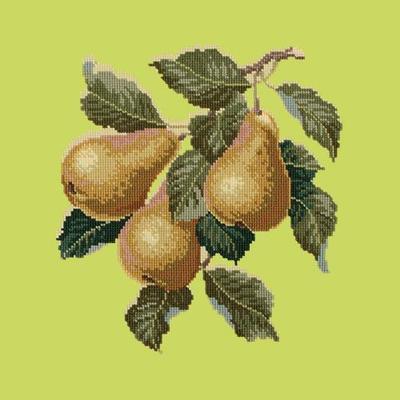 Pears Needlepoint Kit Kits Elizabeth Bradley Design Pale Lime 
